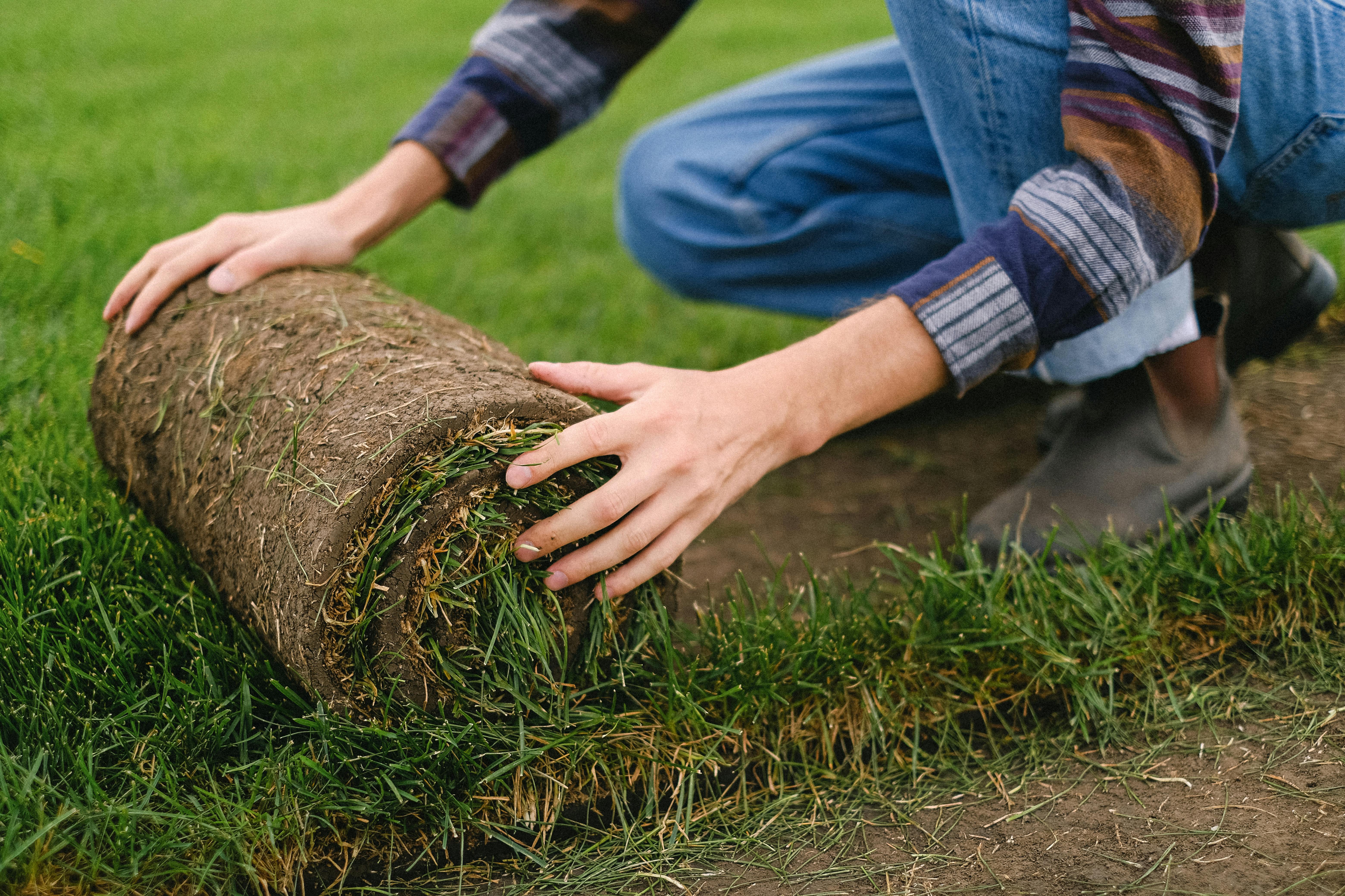Sod and Bricks